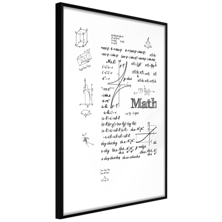 Poster Mathematics - black and white mathematical equations and geometric figures 116327 additionalImage 11