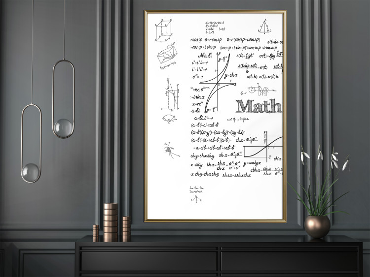 Poster Mathematics - black and white mathematical equations and geometric figures 116327 additionalImage 5