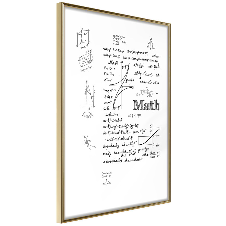 Poster Mathematics - black and white mathematical equations and geometric figures 116327 additionalImage 6