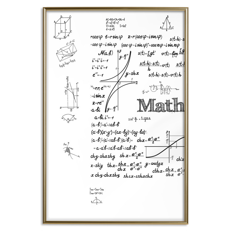 Poster Mathematics - black and white mathematical equations and geometric figures 116327 additionalImage 16