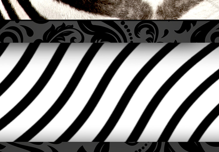 Canvas Print Zebra in Stripes (1-part) - Animal in Black and White Pattern 116427 additionalImage 4