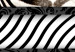 Canvas Print Zebra in Stripes (1-part) - Animal in Black and White Pattern 116427 additionalThumb 4