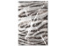 Canvas Print Tiger hair - animal texture detail in gray and white shades 117527