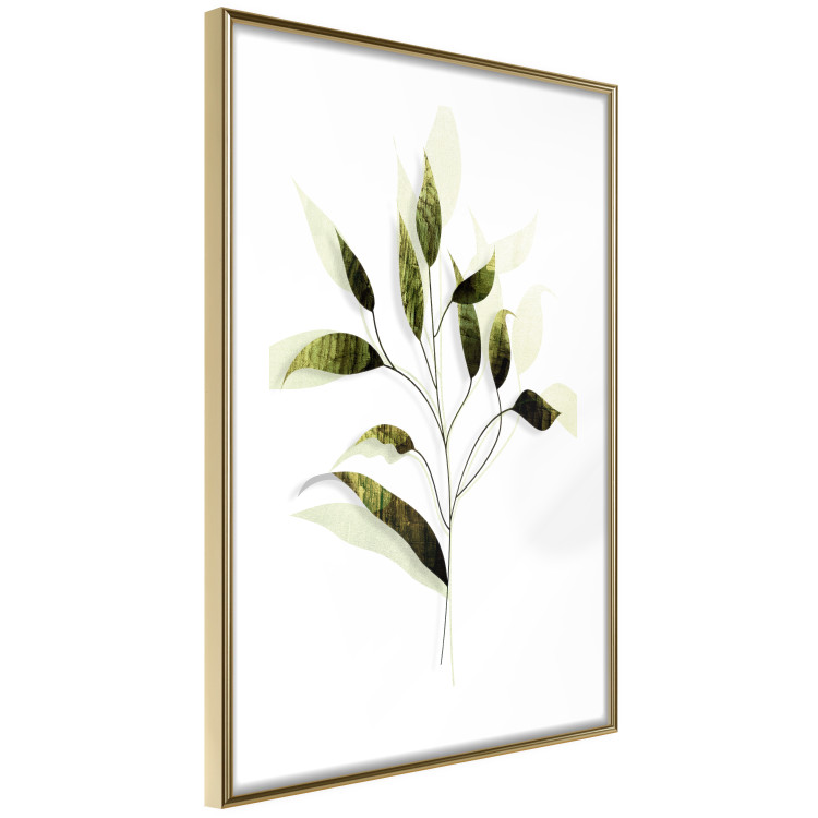 Poster Olive Branch - plant with green leaves on a light white background 126827 additionalImage 7
