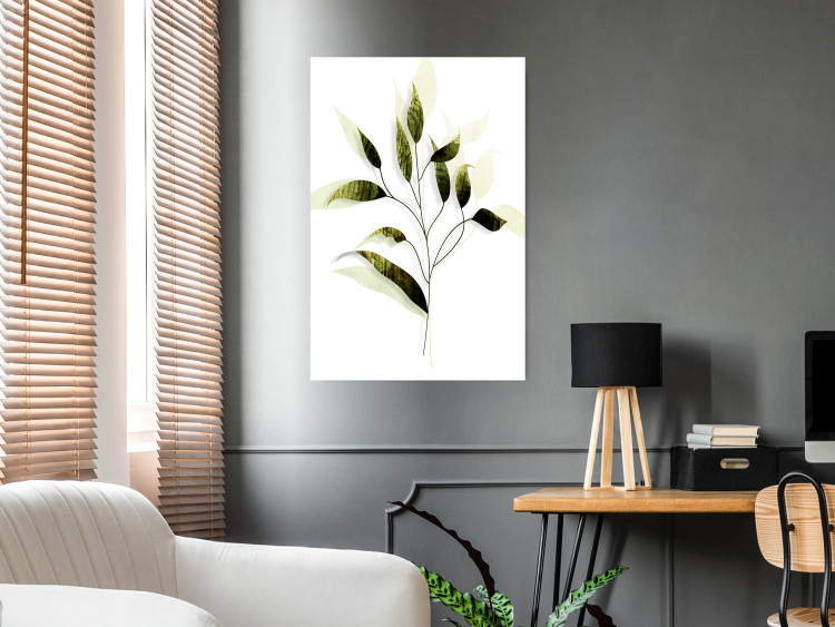 Poster Olive Branch - plant with green leaves on a light white background 126827 additionalImage 2