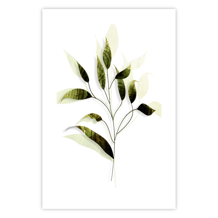 Poster Olive Branch - plant with green leaves on a light white background 126827 additionalImage 19