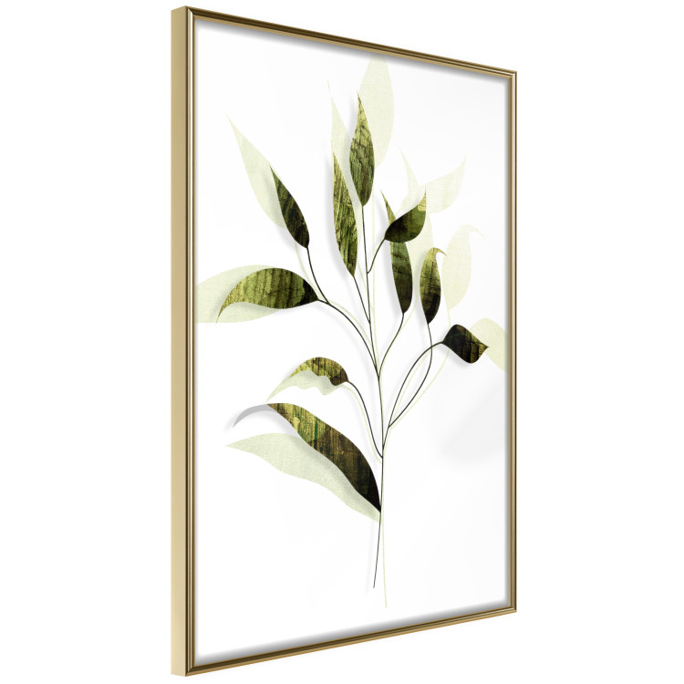 Poster Olive Branch - plant with green leaves on a light white background 126827 additionalImage 12