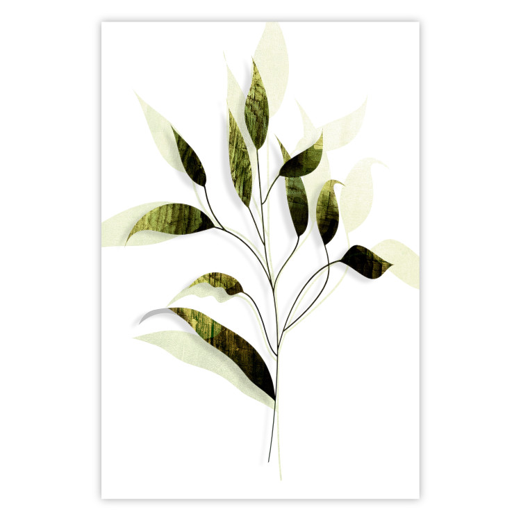 Poster Olive Branch - plant with green leaves on a light white background 126827
