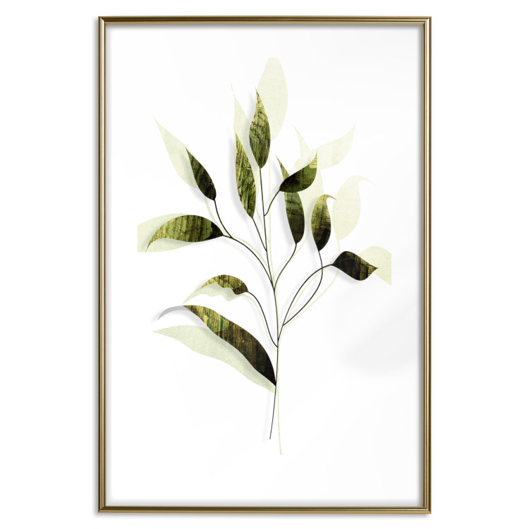 Poster Olive Branch - plant with green leaves on a light white background 126827 additionalImage 14
