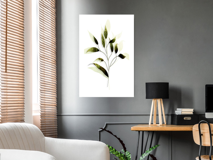 Poster Olive Branch - plant with green leaves on a light white background 126827 additionalImage 3