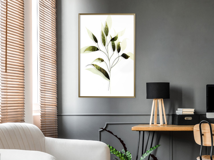 Poster Olive Branch - plant with green leaves on a light white background 126827 additionalImage 5