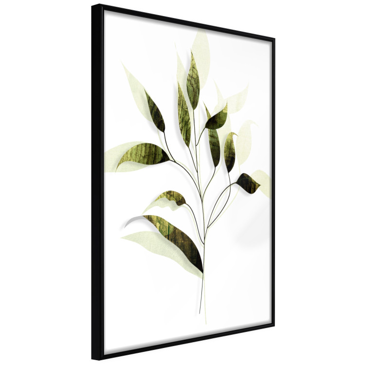 Poster Olive Branch - plant with green leaves on a light white background 126827 additionalImage 11
