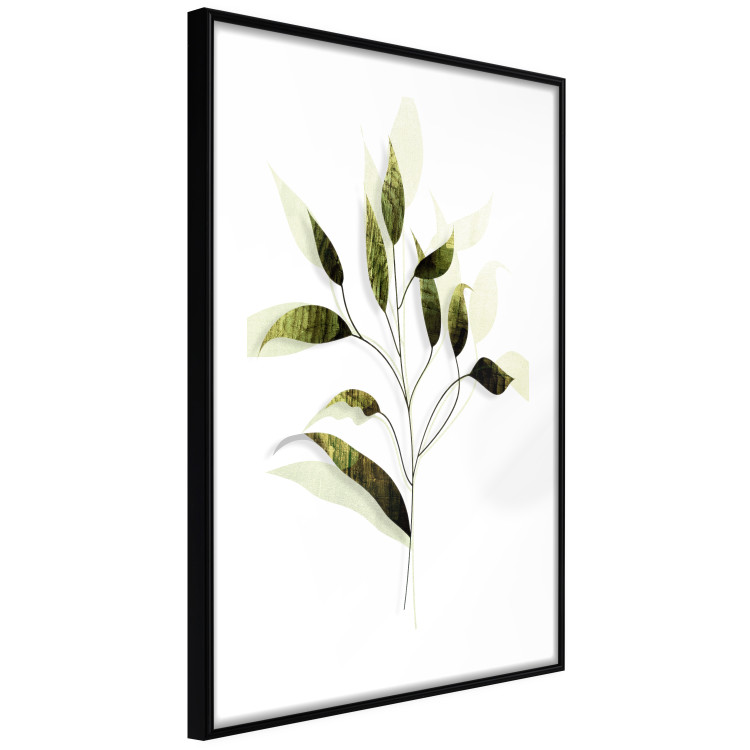 Poster Olive Branch - plant with green leaves on a light white background 126827 additionalImage 6