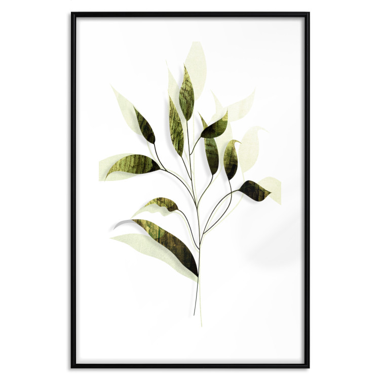Poster Olive Branch - plant with green leaves on a light white background 126827 additionalImage 15