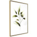 Poster Olive Branch - plant with green leaves on a light white background 126827 additionalThumb 7