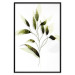 Poster Olive Branch - plant with green leaves on a light white background 126827 additionalThumb 16