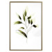 Poster Olive Branch - plant with green leaves on a light white background 126827 additionalThumb 14