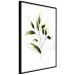 Poster Olive Branch - plant with green leaves on a light white background 126827 additionalThumb 6