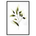 Poster Olive Branch - plant with green leaves on a light white background 126827 additionalThumb 15