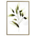 Poster Olive Branch - plant with green leaves on a light white background 126827 additionalThumb 17