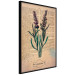 Poster Lavender Memory - composition with blooming plants and text in background 129427 additionalThumb 5