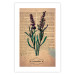 Poster Lavender Memory - composition with blooming plants and text in background 129427 additionalThumb 25