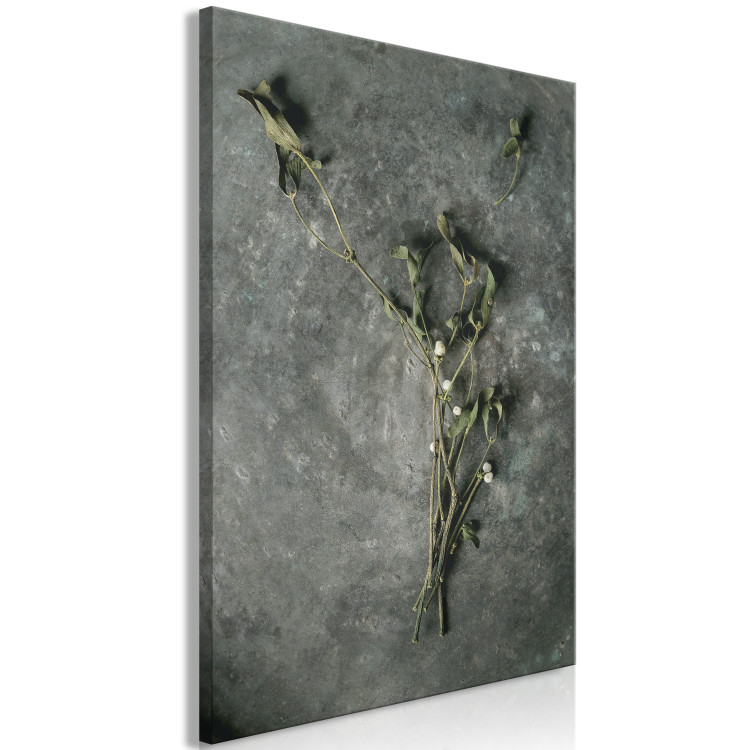 Canvas Print Dried mistletoe - a winter botanical photograph on a grey stone 130727 additionalImage 2