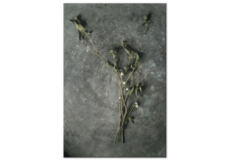 Canvas Print Dried mistletoe - a winter botanical photograph on a grey stone 130727