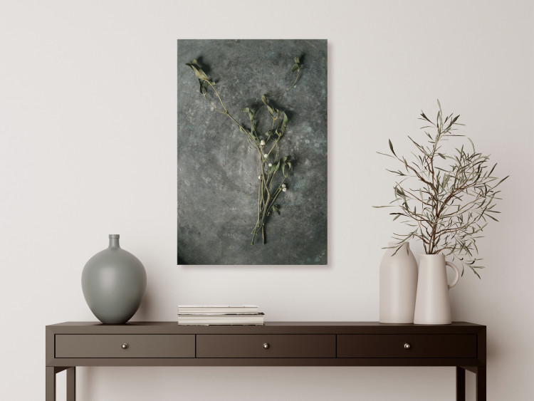 Canvas Print Dried mistletoe - a winter botanical photograph on a grey stone 130727 additionalImage 3