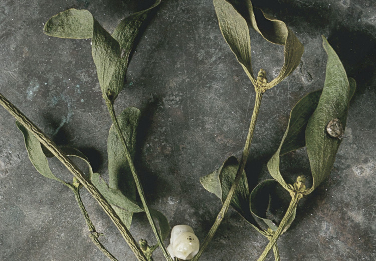 Canvas Print Dried mistletoe - a winter botanical photograph on a grey stone 130727 additionalImage 5