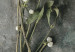 Canvas Print Dried mistletoe - a winter botanical photograph on a grey stone 130727 additionalThumb 4