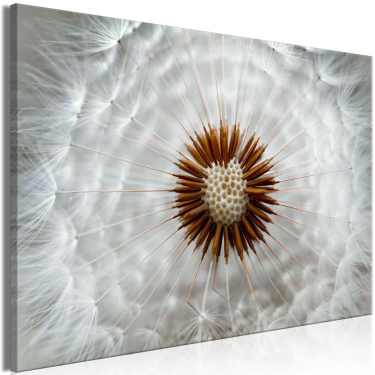 Canvas Art Print Gust of Lightness (1-piece) Wide - dandelion bloom in close-up 136027 additionalImage 2