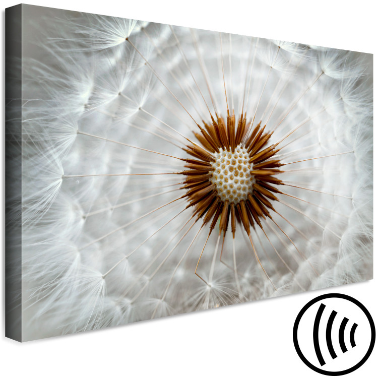 Canvas Art Print Gust of Lightness (1-piece) Wide - dandelion bloom in close-up 136027 additionalImage 6