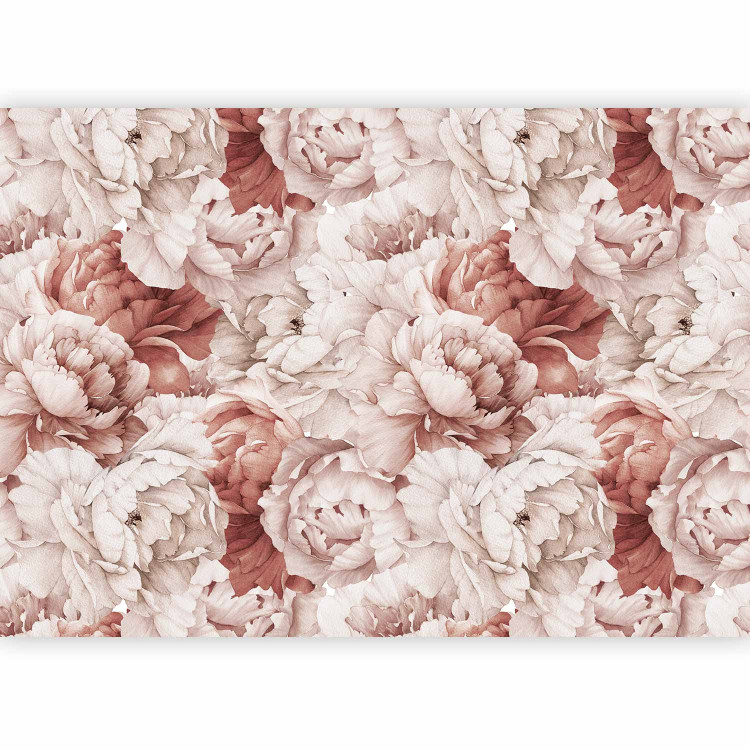 Wall Mural Peonies - nature motif with a bright composition of flowers in shades of pink 143827 additionalImage 1