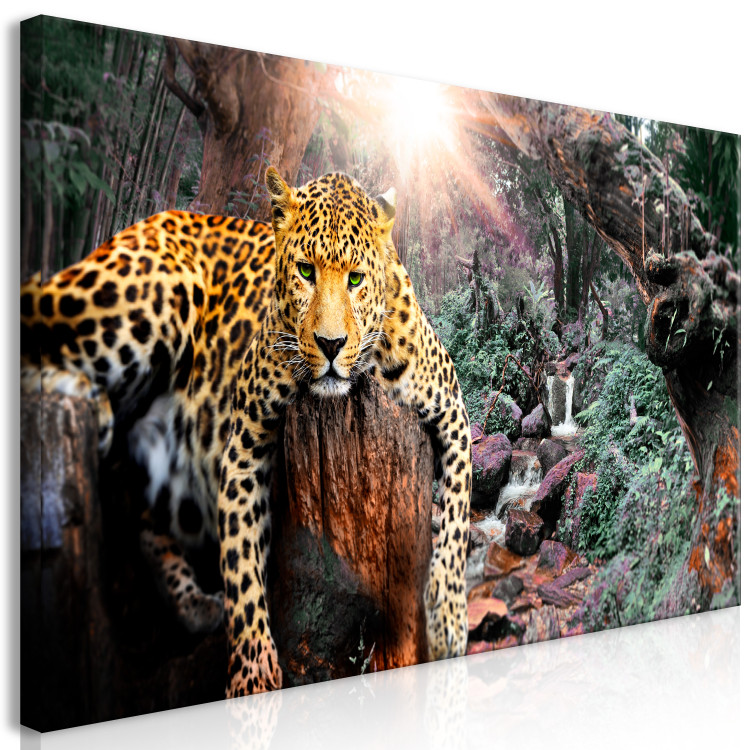 Large canvas print Wild Cat's Rest II [Large Format] 150727 additionalImage 3