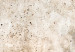 Canvas Print Rust Texture - An Abstract Composition in Shades of Pastel Brown 151427 additionalThumb 5