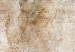 Canvas Print Rust Texture - An Abstract Composition in Shades of Pastel Brown 151427 additionalThumb 4