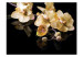 Wall Mural Ecru Orchids - Subtle Floral Motif on a Black Background 60227 additionalThumb 1