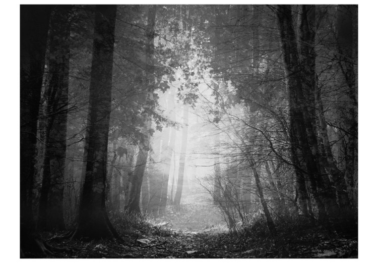 Wall Mural Shadow Forest - Black-and-White Landscape with a Leaf-Covered Path Surrounded by Forest 60527 additionalImage 1