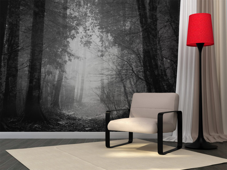 Wall Mural Shadow Forest - Black-and-White Landscape with a Leaf-Covered Path Surrounded by Forest 60527