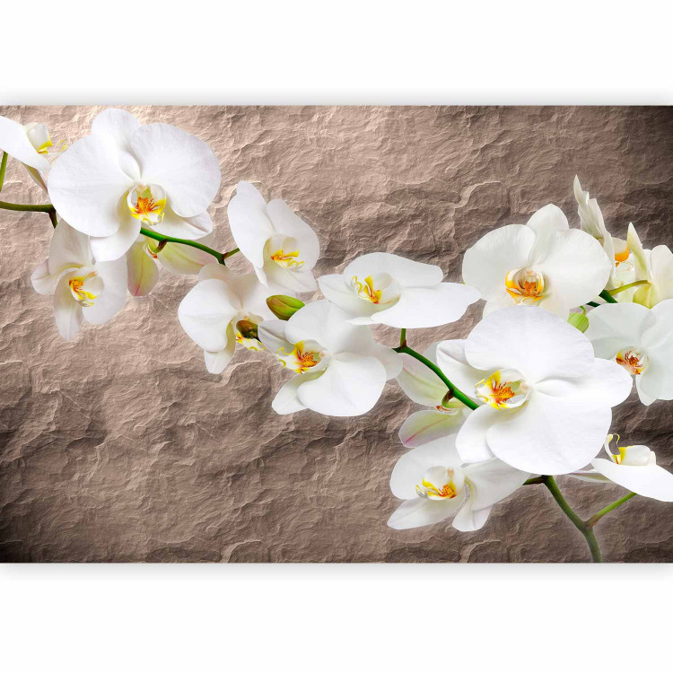 Wall Mural Orchid Flowers - White Flowers on a Gray Background with Irregular Texture 60627 additionalImage 5