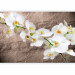 Wall Mural Orchid Flowers - White Flowers on a Gray Background with Irregular Texture 60627 additionalThumb 1
