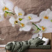 Wall Mural Orchid Flowers - White Flowers on a Gray Background with Irregular Texture 60627 additionalThumb 2