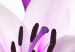 Canvas Print Violet Desert Lily 63927 additionalThumb 5