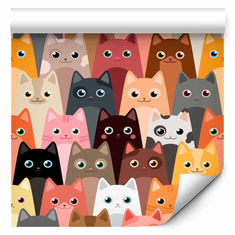 Wallpaper Bunch of Cats 108437 additionalImage 6