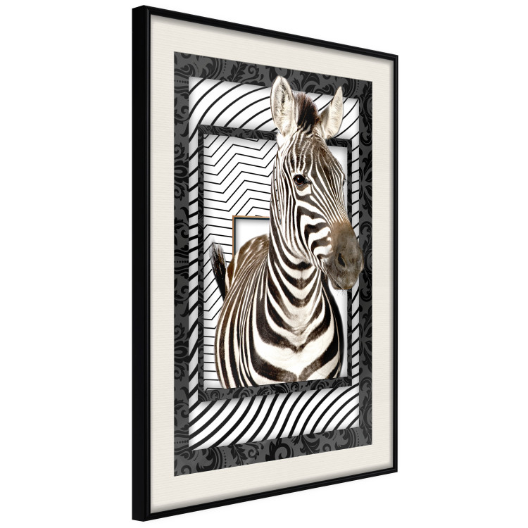 Wall Poster Zebra - black and white composition with a striped mammal on a patterned background 116437 additionalImage 3