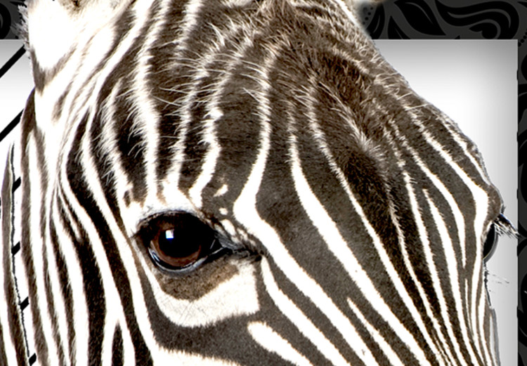 Wall Poster Zebra - black and white composition with a striped mammal on a patterned background 116437 additionalImage 9