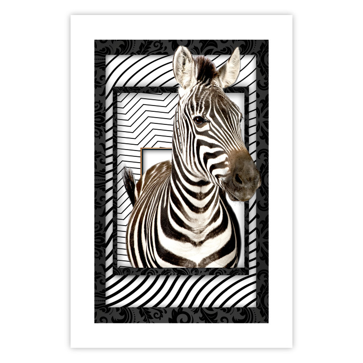 Wall Poster Zebra - black and white composition with a striped mammal on a patterned background 116437 additionalImage 25