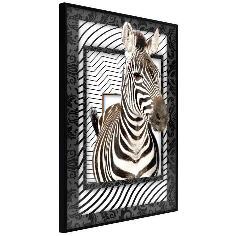 Wall Poster Zebra - black and white composition with a striped mammal on a patterned background 116437 additionalImage 8