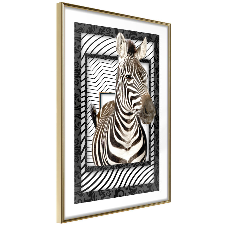 Wall Poster Zebra - black and white composition with a striped mammal on a patterned background 116437 additionalImage 4